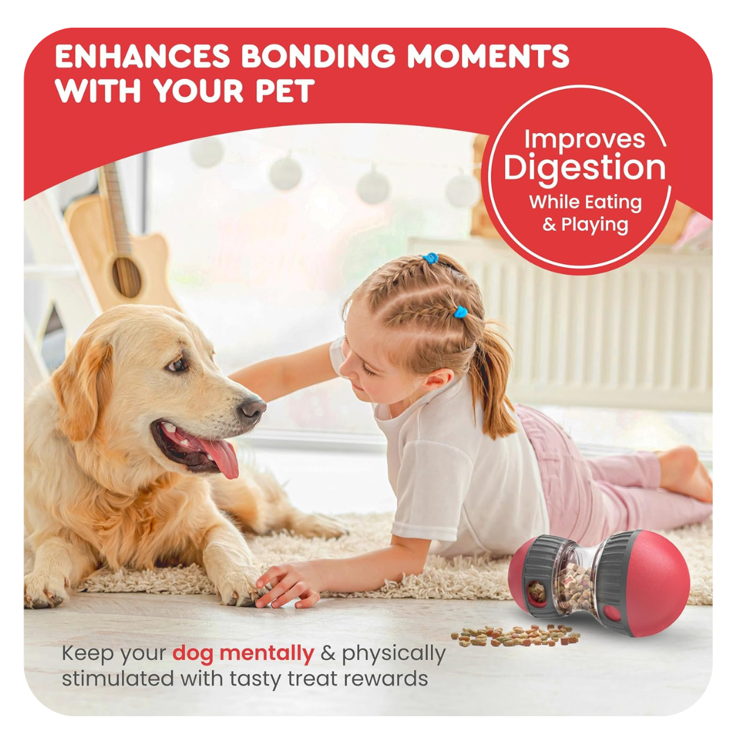 Pets Treat Dispenser Leaking Food Toy