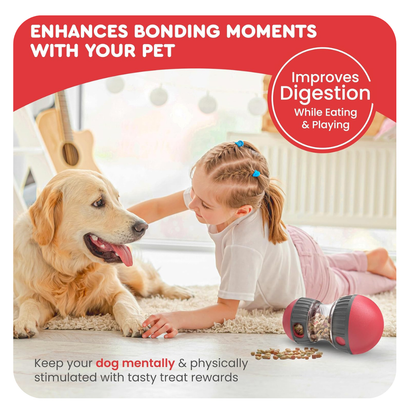 Pets Treat Dispenser Leaking Food Toy