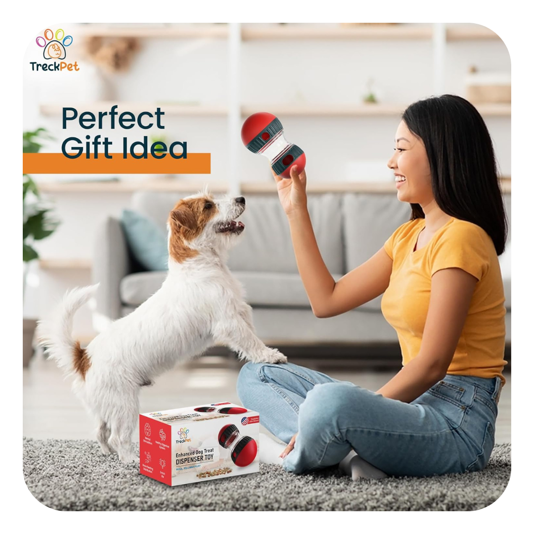 Pets Treat Dispenser Leaking Food Toy