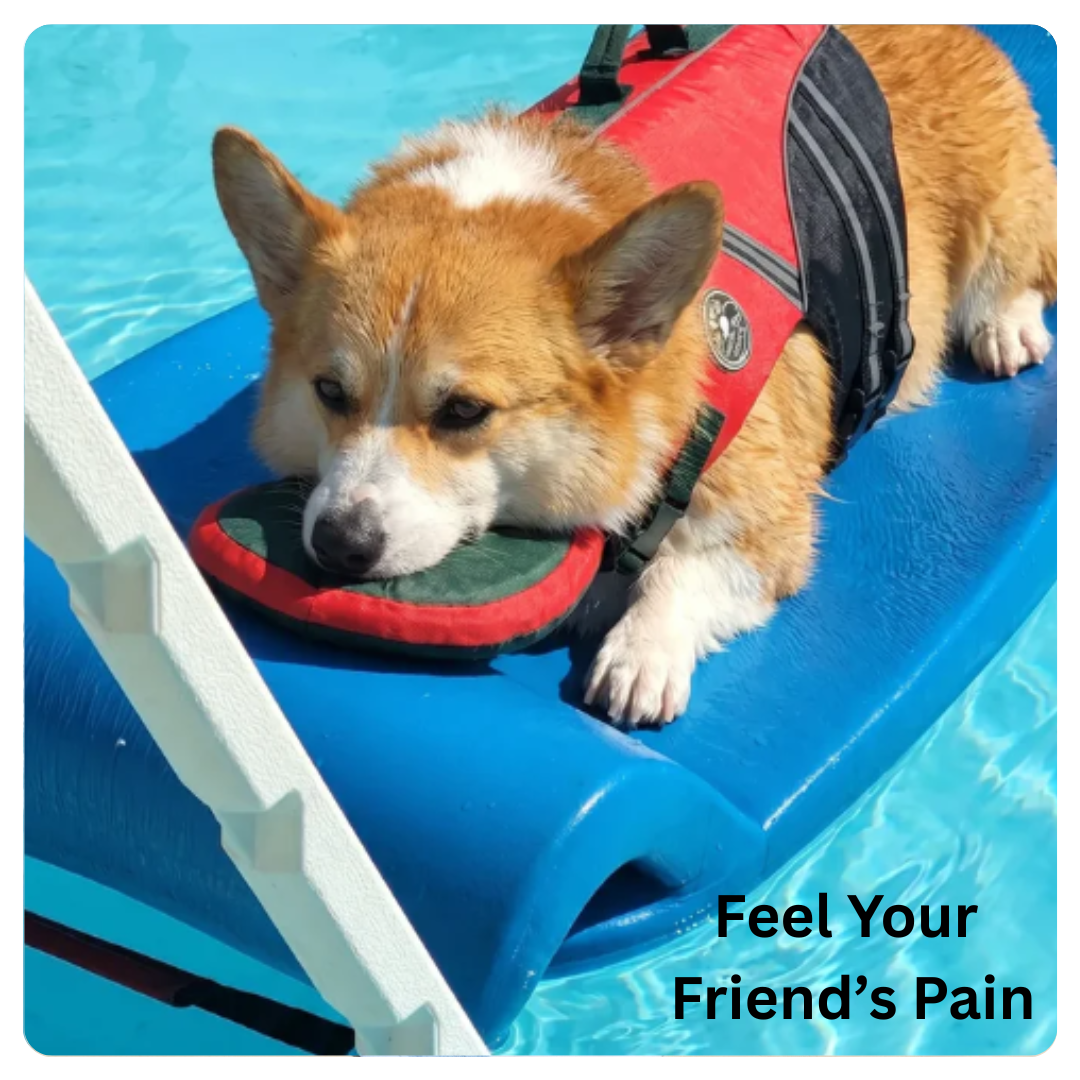 Flotiq™ Head Rest Life Jacket