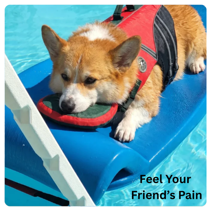 Flotiq™ Head Rest Life Jacket