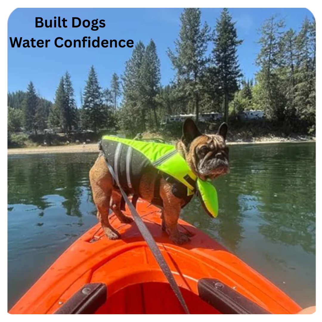 Flotiq™ Head Rest Life Jacket