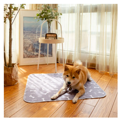 CleanNest™ Training Pee Pads