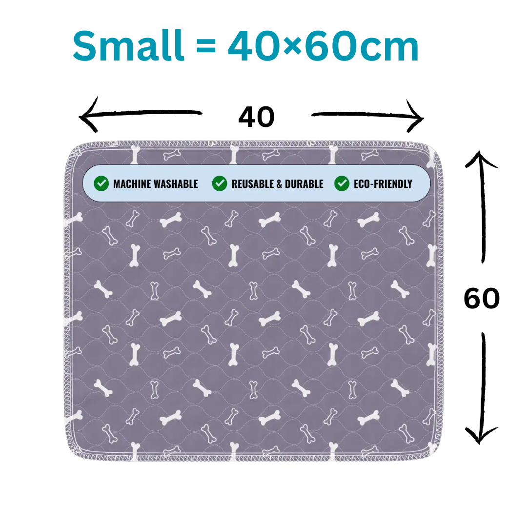 CleanNest™ Training Pee Pads