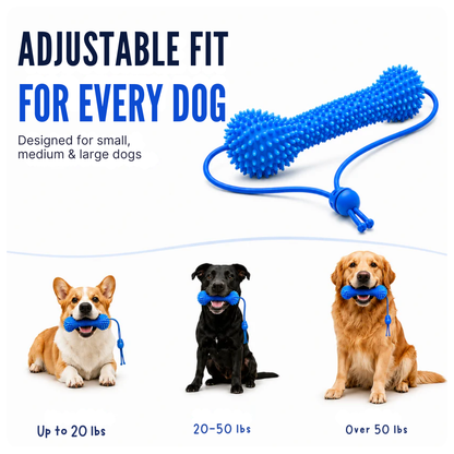 Dentiq™ Dental Chew Stick