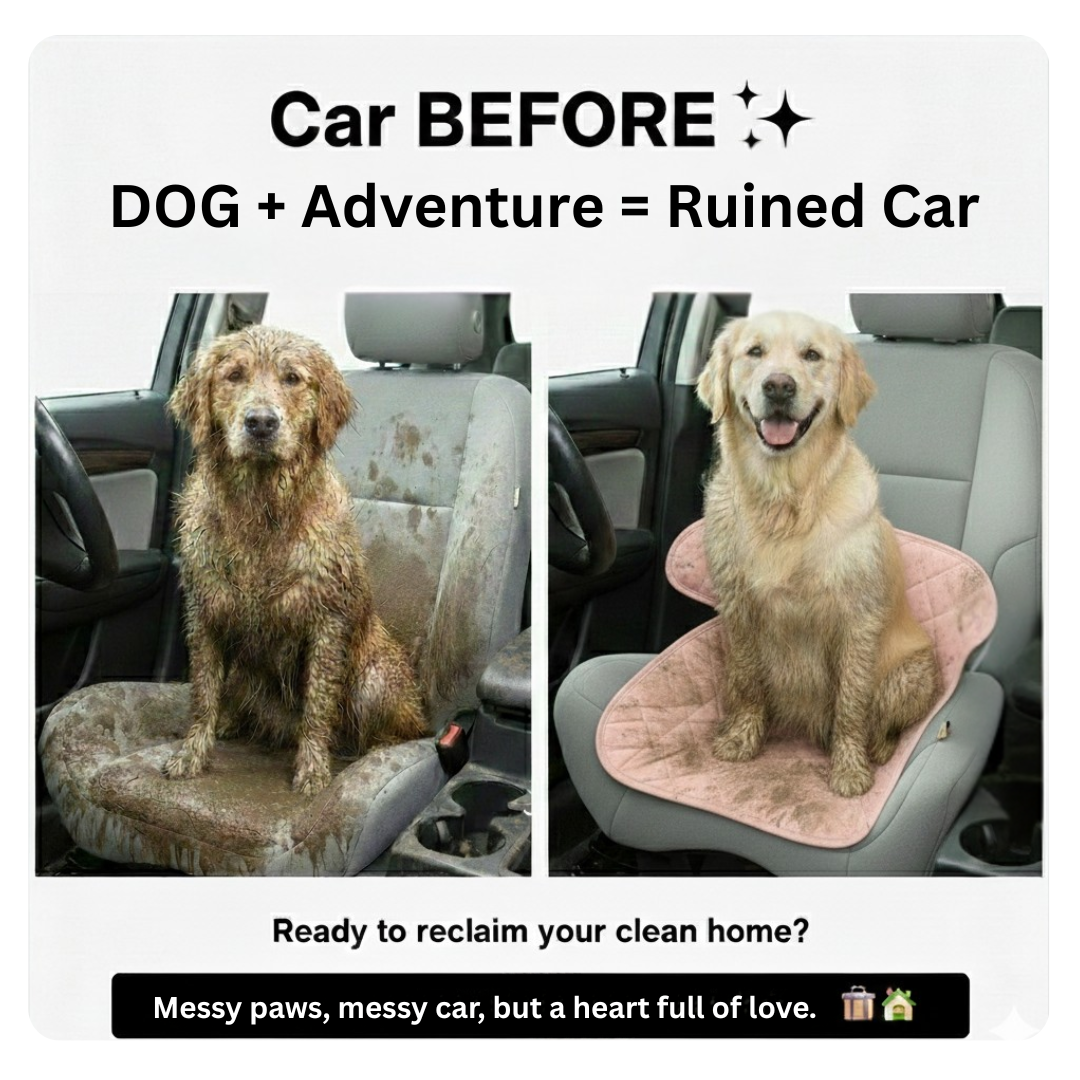 DryRide™ Protector