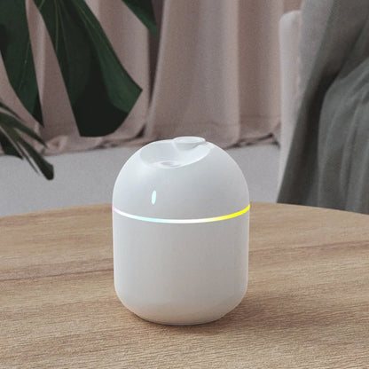 Air Humidifier Stylish LED Night Light