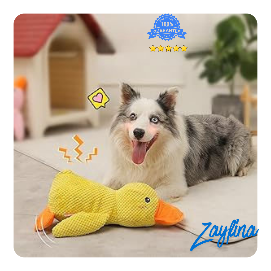 Dogs Calming Duck