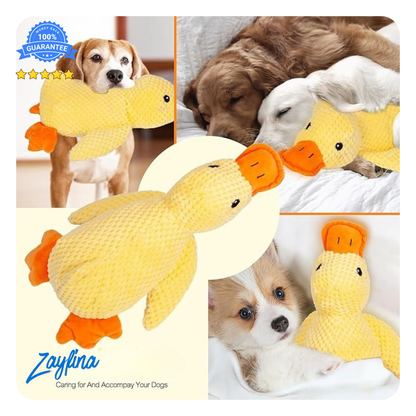 Dogs Calming Duck