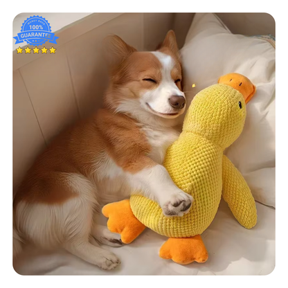 Dogs Calming Duck