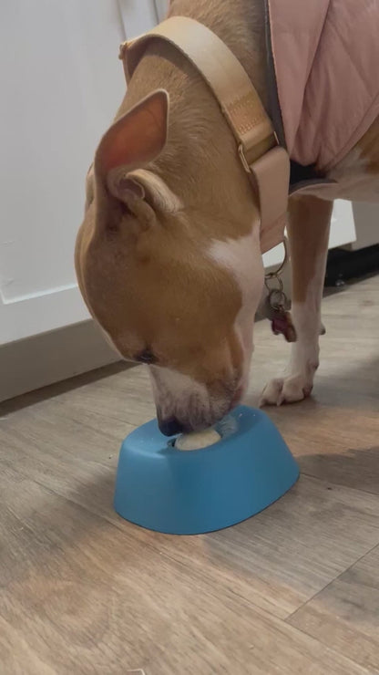 PawGenius™ Slow Feeder Bowl